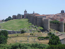 Mudanzas Ávila